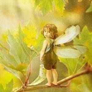 Meet your Posher, Rita